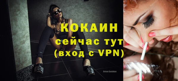 МДПВ Карпинск