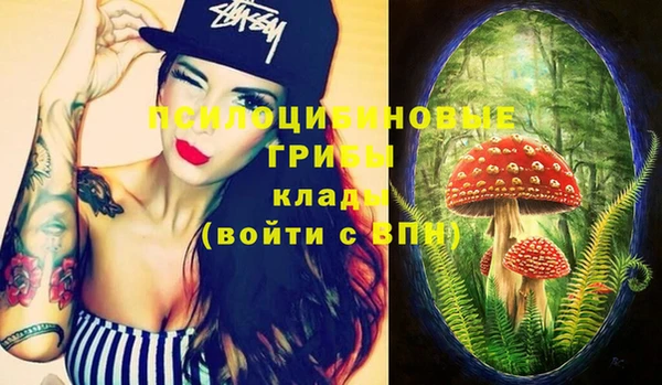 шишки Касимов