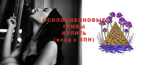 МДПВ Карпинск