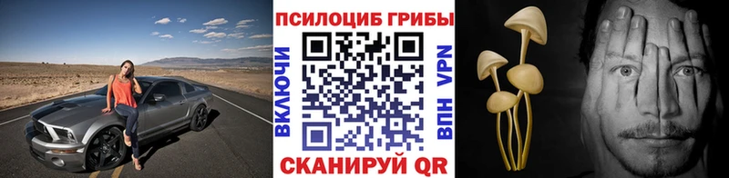 Псилоцибиновые грибы Magic Shrooms  Клин 